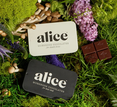 Alice Mushroom Chocolates Sleep & Focus bundle (32 each)