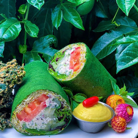 TEST TEST TEST Peace Pies Raw Vegan Wrap Bundle (8 Wraps-Catering/Meal Prep)